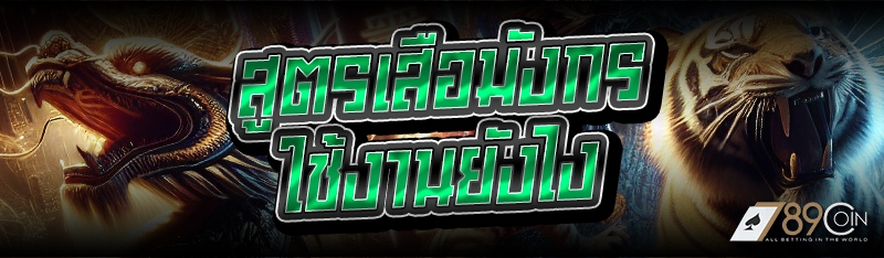 สูตรเสือมังกร ใช้งานยังไง