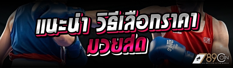 แนะนำ วิธีเลือกราคามวยสด