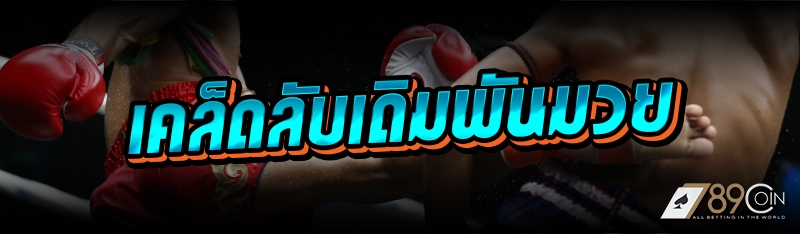 เคล็ดลับเดิมพันมวย