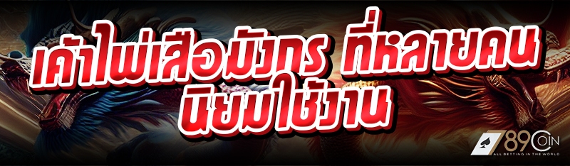 เค้าไพ่เสือมังกร ที่หลายคนนิยมใช้งาน